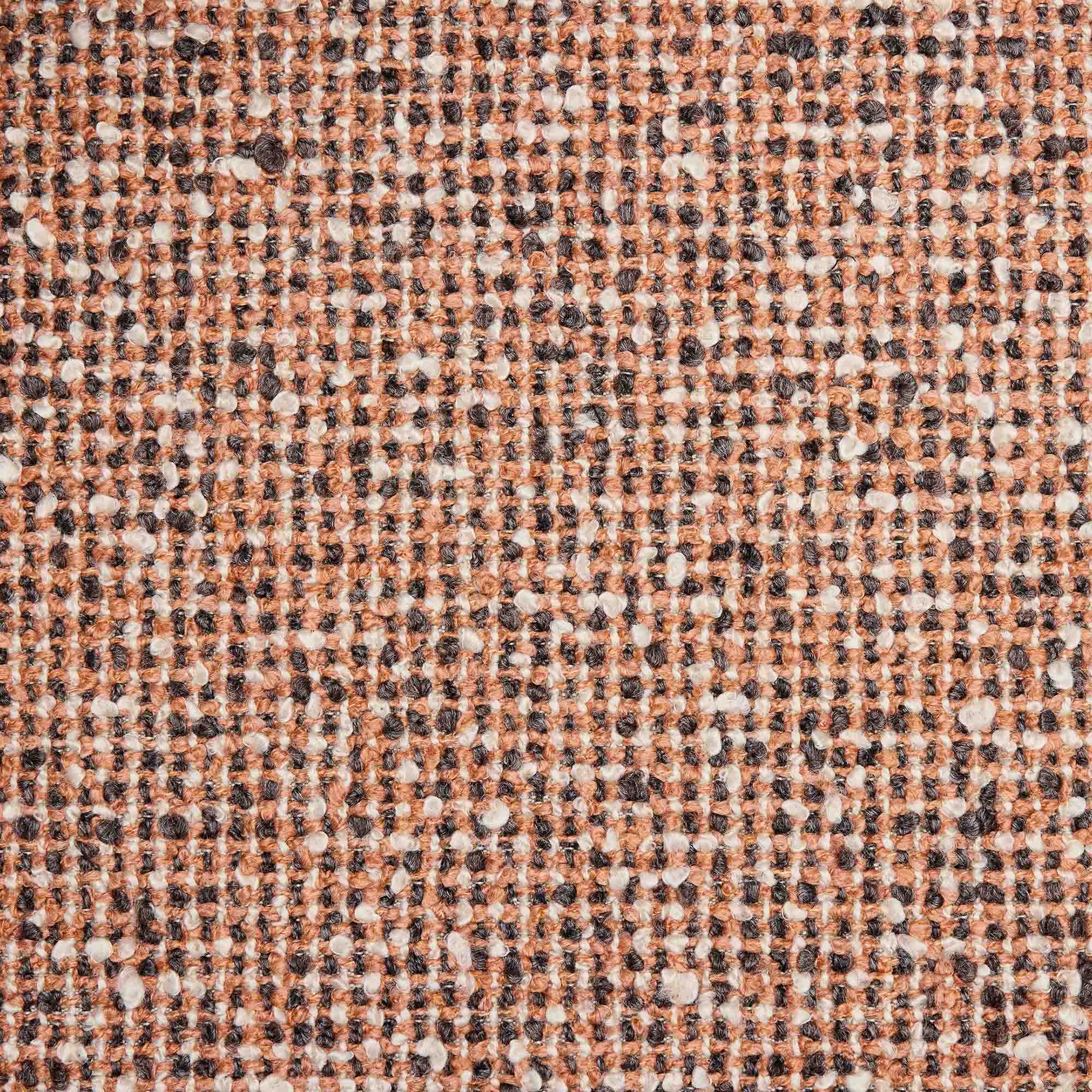 Esra Dining Chair Burnt Sienna Black - Image 8